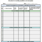 15 Daily Budget Templates Free Word Excel PDF Formats Samples