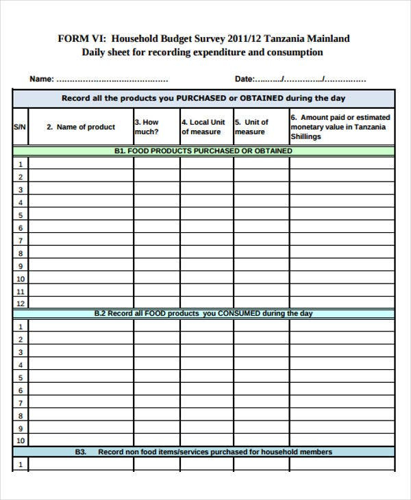 Daily Budget Worksheet