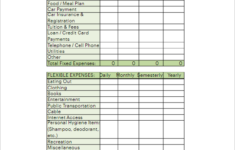 16 Free Student Budget Templates PDF Excel Example Formats
