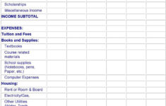 2 Student Budget Free Download