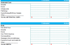Baby Budget Template Clean Format Budget Templates