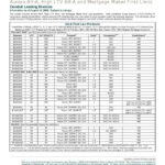 Bankruptcy Chapter 13 Worksheet And Personal Bankruptcy Worksheet In