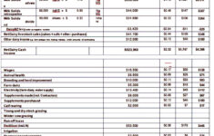 Cash Budget Sample Template Cash Budget Budget Template Budgeting