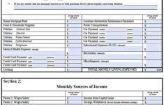 Cash Budget Template Will Work Template Business