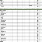 Cash Flow Worksheet Monthly Microsoft Excel Organizer Cash Flow