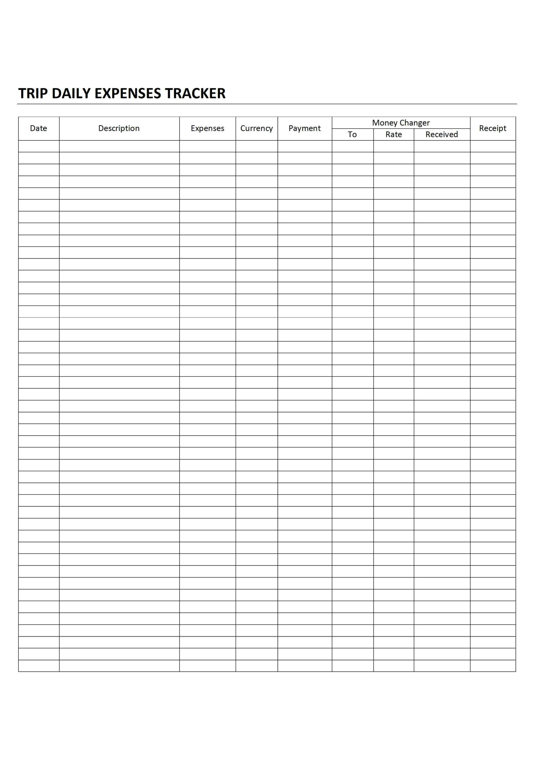 Daily Budget Worksheet Budgeting Worksheets