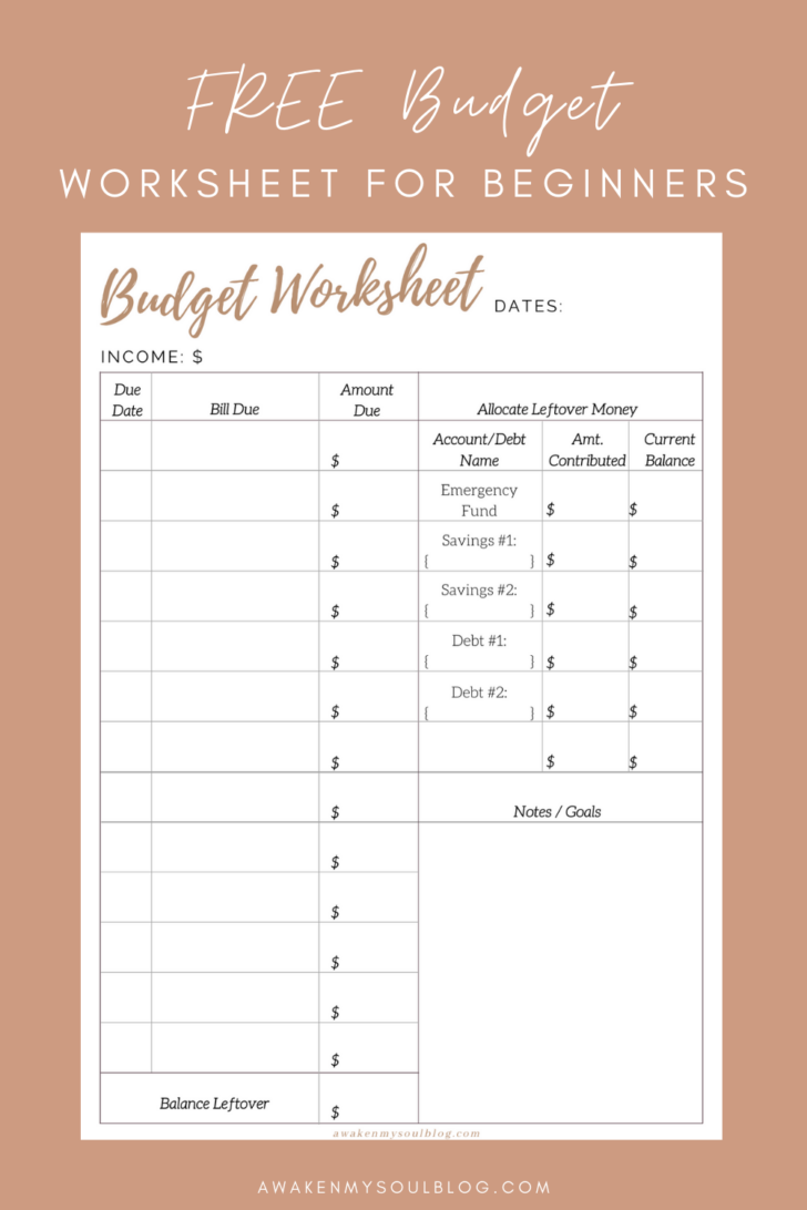 Beginner Printable Budget Worksheet