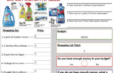 Target Circular Math And Budgeting Worksheet