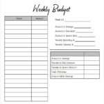 Weekly Budget Templates 14 Free MS Word Excel PDF Weekly Budget