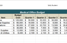 1.5 Chapter Practice – Beginning Excel, First Edition within Medical Student Budget Worksheet