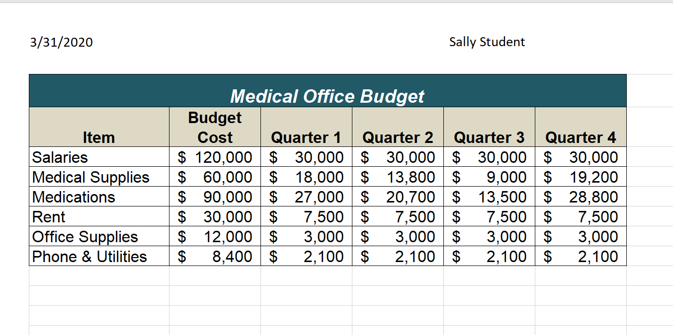1.5 Chapter Practice – Beginning Excel, First Edition within Medical Student Budget Worksheet