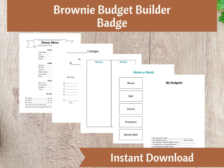 Girl Scout Budget Worksheet
