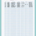 Budget Binder: A Plan For Every Dollar | The Budget Mom Throughout Budget Mom Debt Payment Plan Worksheet