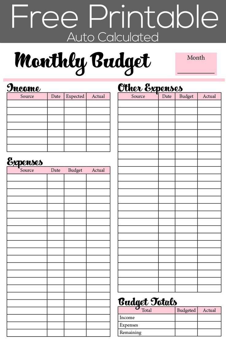 Free Printable Monthly Budget With Auto Calculated Fields for Math Budgeting Worksheets Free