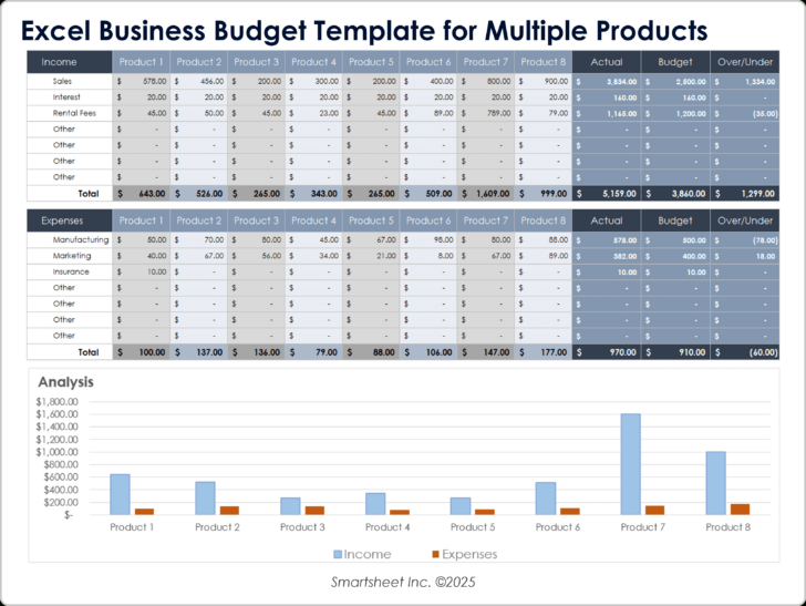 Company Budget Worksheet