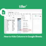 How To Hide And Unhide Columns In Google Sheets   Tiller With Hide The Sample Budget Worksheet And Then Unhide