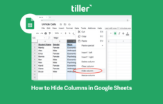 How To Hide And Unhide Columns In Google Sheets - Tiller with Hide The Sample Budget Worksheet and Then Unhide