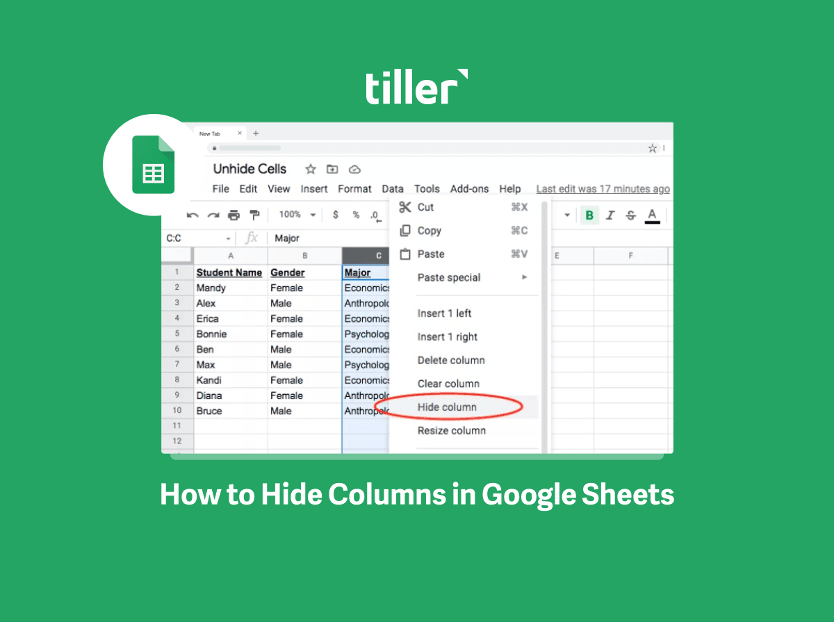 How To Hide And Unhide Columns In Google Sheets - Tiller with Hide The Sample Budget Worksheet and Then Unhide
