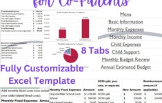 Monthly Co-Parenting Budget Tracker - Excel Spreadsheet Fully in Single Parent Budget Worksheet