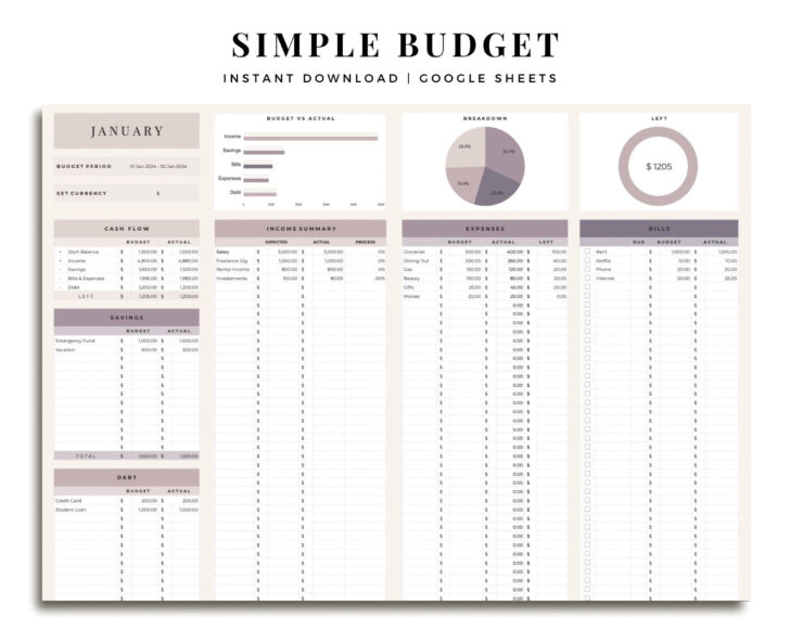 Senior Citizen Budget Worksheet