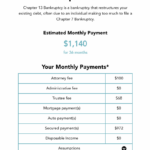 The Bankruptcy Help Blog Post Throughout Chapter 13 Bankruptcy Budget Worksheet