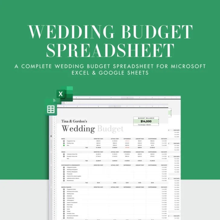 Indian Wedding Budget Worksheet