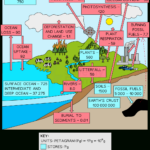 What Is The Carbon Budget? A Level Geography   Revision Notes Intended For Carbon Budget Worksheet Answers