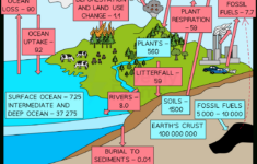 What Is The Carbon Budget? A Level Geography - Revision Notes intended for Carbon Budget Worksheet Answers