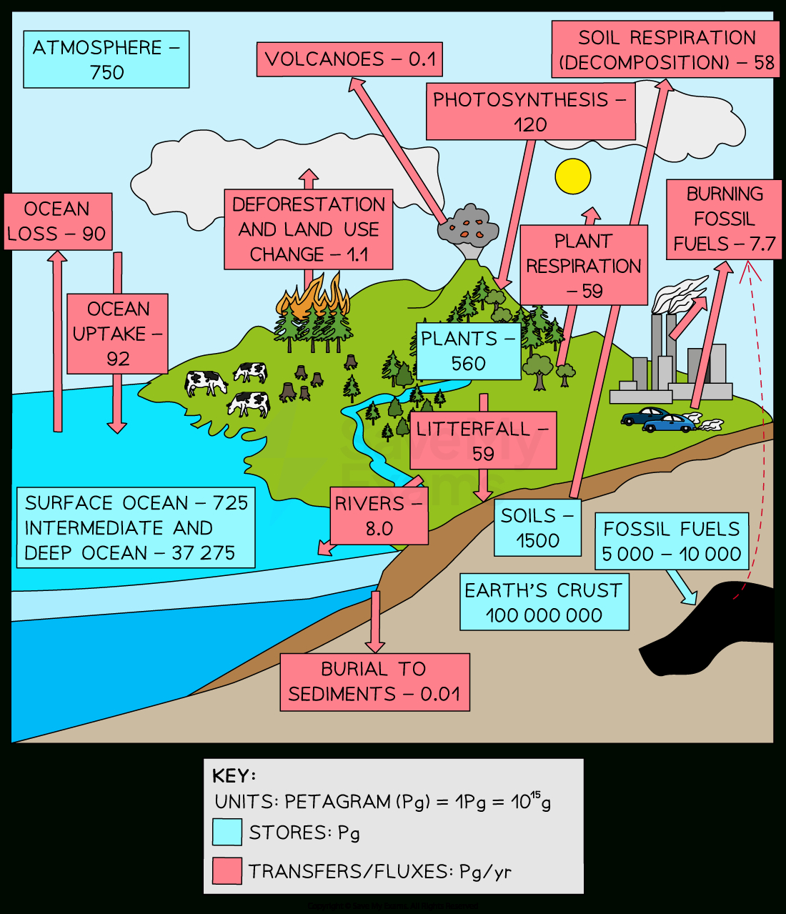 What Is The Carbon Budget? A Level Geography - Revision Notes intended for Carbon Budget Worksheet Answers